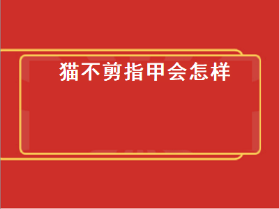 猫不剪指甲会怎样（猫不剪指甲会怎样呢）