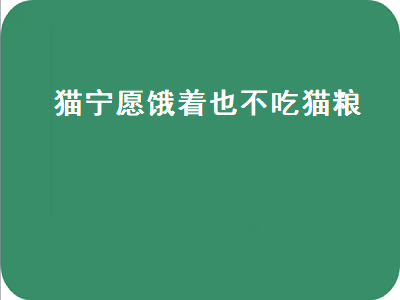 猫宁愿饿着也不吃猫粮（猫宁愿饿着也不吃猫粮只吃肉）