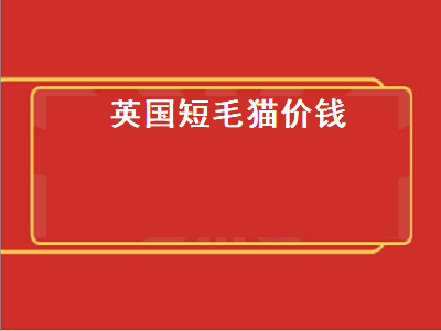 英国短毛猫价钱（英国短毛猫价钱是多少）