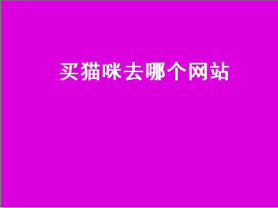 买猫咪去哪个网站（买猫咪去哪个网站买可靠）