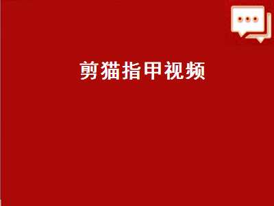 剪猫指甲视频（剪猫指甲视频教程）