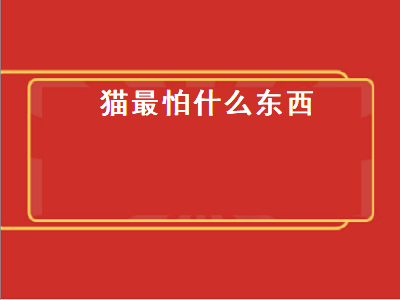 猫最怕什么东西（猫最怕什么东西,然后就会逃跑）