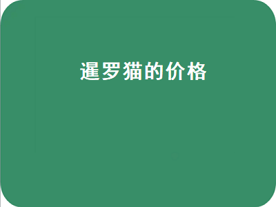 暹罗猫的价格（暹罗猫的价格一般多少钱）