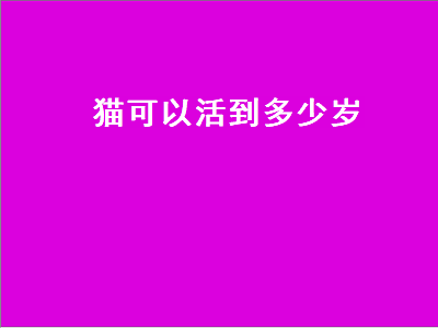 猫可以活到多少岁（猫可以活到多少岁的正确答案）