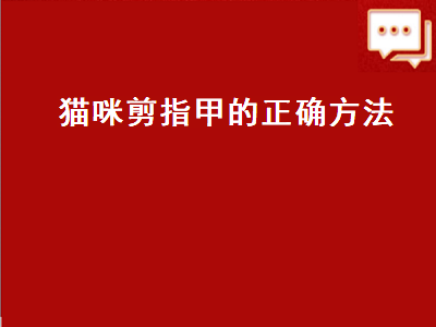 猫咪剪指甲的正确方法（猫咪剪指甲的正确方法图片）