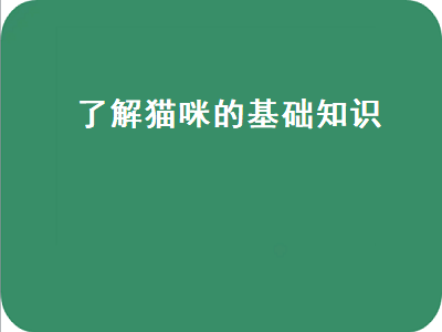 了解猫咪的基础知识（了解猫咪的基础知识有哪些）