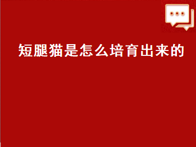 短腿猫是怎么培育出来的（短腿猫是怎么培育出来的视频）