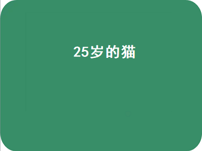 5岁的猫（25岁的猫相当于人多少岁）"