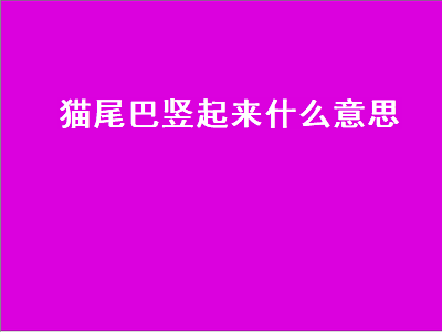 猫尾巴竖起来什么意思（猫尾巴竖起来什么意思,发出呼噜声）