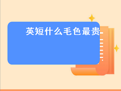 英短什么毛色最贵（英短什么毛色最贵,怎么区分）