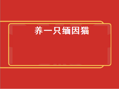 养一只缅因猫（养一只缅因猫一个月需要多少开支）