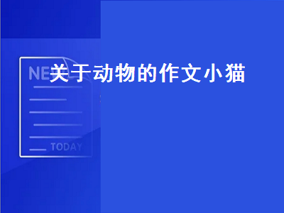 关于动物的作文小猫（关于动物的作文小猫300字）