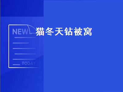 猫冬天钻被窝（猫冬天钻被窝会憋死吗）