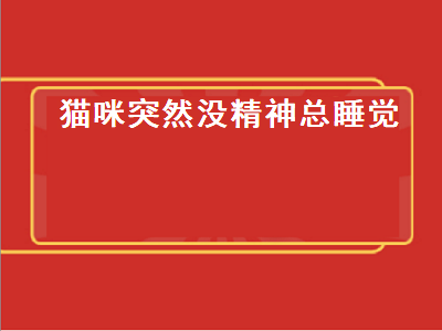 猫咪突然没精神总睡觉（打完疫苗猫咪突然没精神总睡觉）