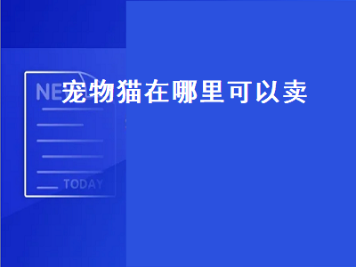 猫咪可以卖给宠物店吗 (猫咪可以卖给哪里)