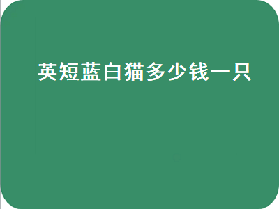 英短蓝白猫多少钱一只（英短蓝白猫多少钱一只幼崽）