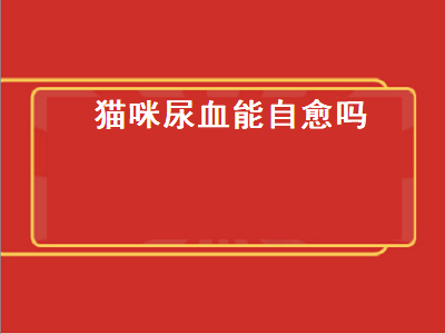 猫咪尿血能自愈吗（猫咪尿血能自愈吗血做啥检查）