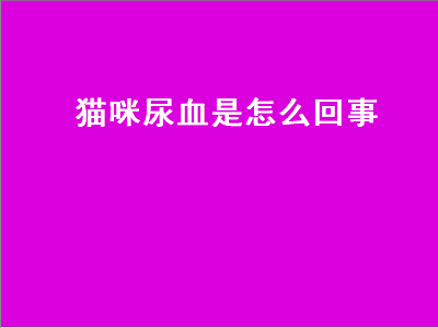 猫咪尿血是怎么回事（猫咪尿血是怎么回事精神食欲都挺好）