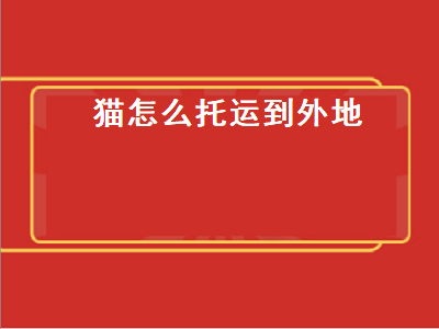 猫怎么托运到外地（猫怎么托运到外地多少钱）