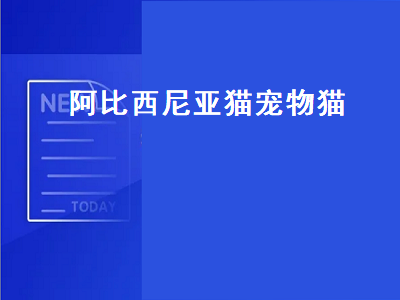 阿比西尼亚猫宠物猫（阿比西尼亚猫宠物猫怎么养）