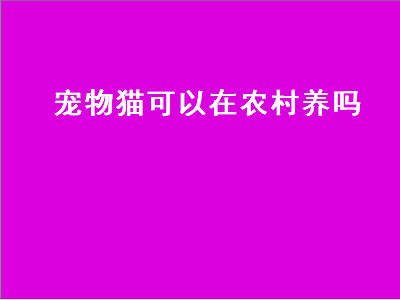 宠物猫可以在农村养吗（宠物猫可以在农村养吗现在）