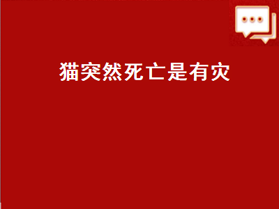 猫突然死亡是有灾（猫突然死亡是有灾还是有福）