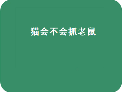 猫会不会抓老鼠（宠物猫会不会抓老鼠）