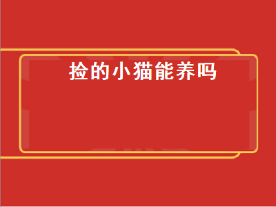 捡的小猫能养吗（捡的小猫能养吗怎么养）