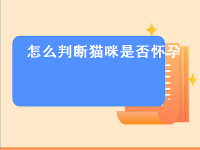 怎么判断猫咪是否怀孕（怎么判断猫咪是否怀孕了）