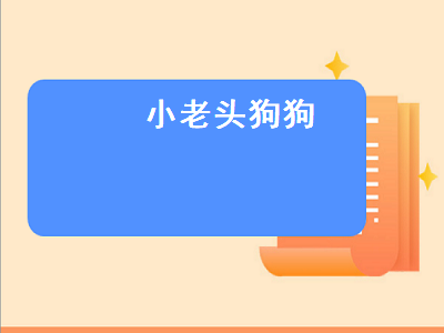 小老头狗狗（小老头狗狗价格）