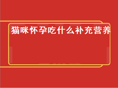 猫咪怀孕吃什么补充营养（猫咪怀孕吃什么补充营养知乎）