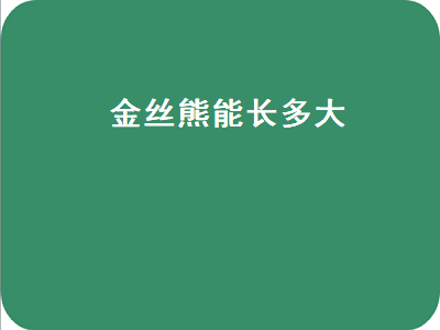 金丝熊能长多大（金丝熊能长多大图片）