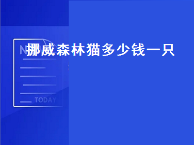 挪威森林猫多少钱一只（挪威森林猫多少钱一只黑色）