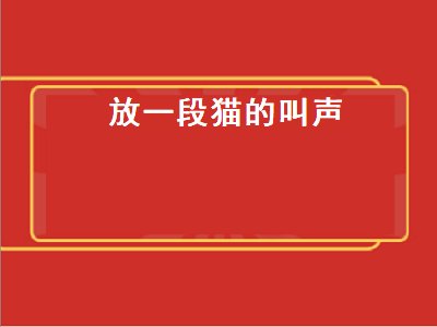 放一段猫的叫声（放一段猫的叫声视频）