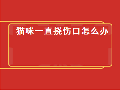 猫咪一直挠伤口怎么办（猫咪一直挠伤口怎么办图片）