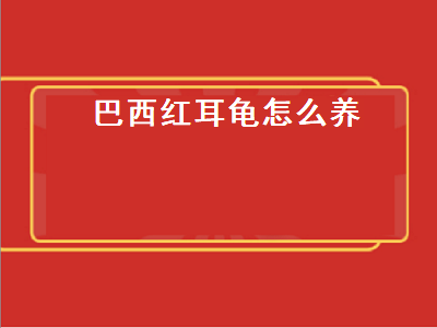 巴西红耳龟怎么养（巴西红耳龟怎么养,一般寿命有多久）