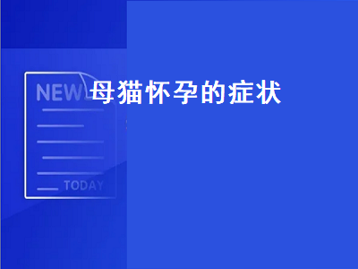 母猫怀孕的症状（母猫怀孕的症状前期）