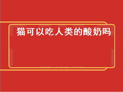 猫可以吃人类的酸奶吗（猫咪能喝酸奶吗猫可以吃人类的酸奶吗）