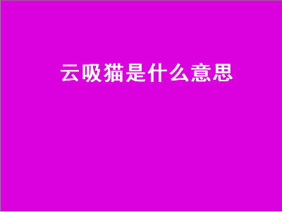 云吸猫是什么意思（云吸猫是什么意思啊）