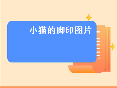 小猫的脚印图片（小猫的脚印图片像什么）