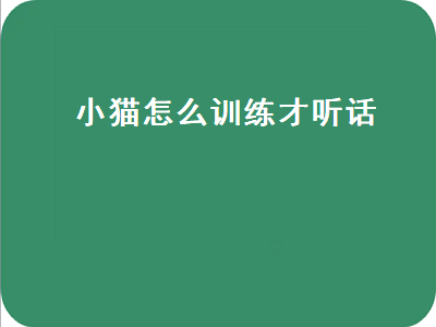 小猫怎么训练才听话（小猫怎么训练才听话视频）