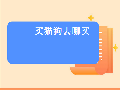 买猫狗去哪买（买猫狗去哪买比较好）