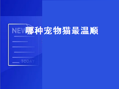 哪种宠物猫最温顺（哪种宠物猫最温顺好养可爱）