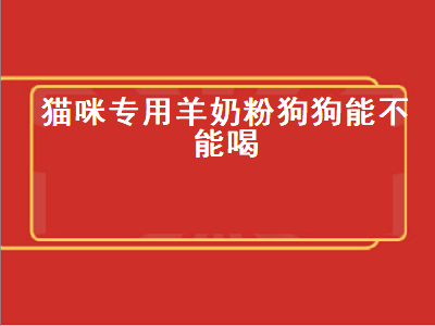 猫咪专用羊奶粉狗狗能不能喝（猫咪专用羊奶粉狗狗能不能喝呢）