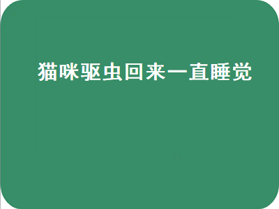 猫咪驱虫回来一直睡觉（猫咪驱虫回来一直睡觉正常吗）