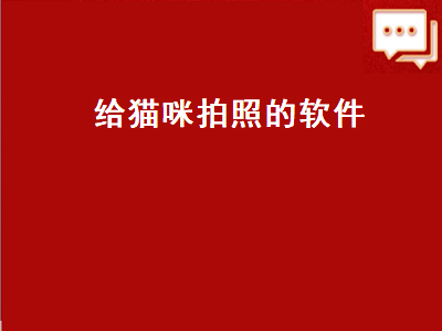 给猫咪拍照的软件（什么软件可以给猫拍照）