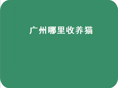 广州哪里收养猫（广州哪里收养猫比较好）