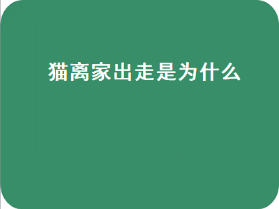 猫离家出走是为什么（猫离家出走是为什么呢）