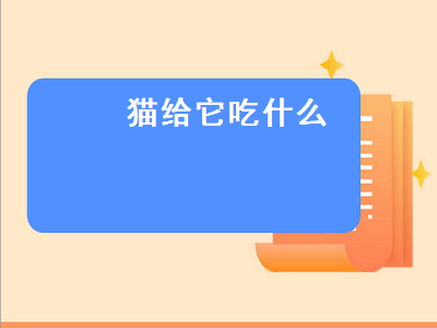 猫给它吃什么（猫给它吃什么养胖）