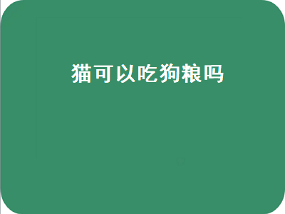 猫可以吃狗粮吗（猫可以吃狗粮吗正确答案）